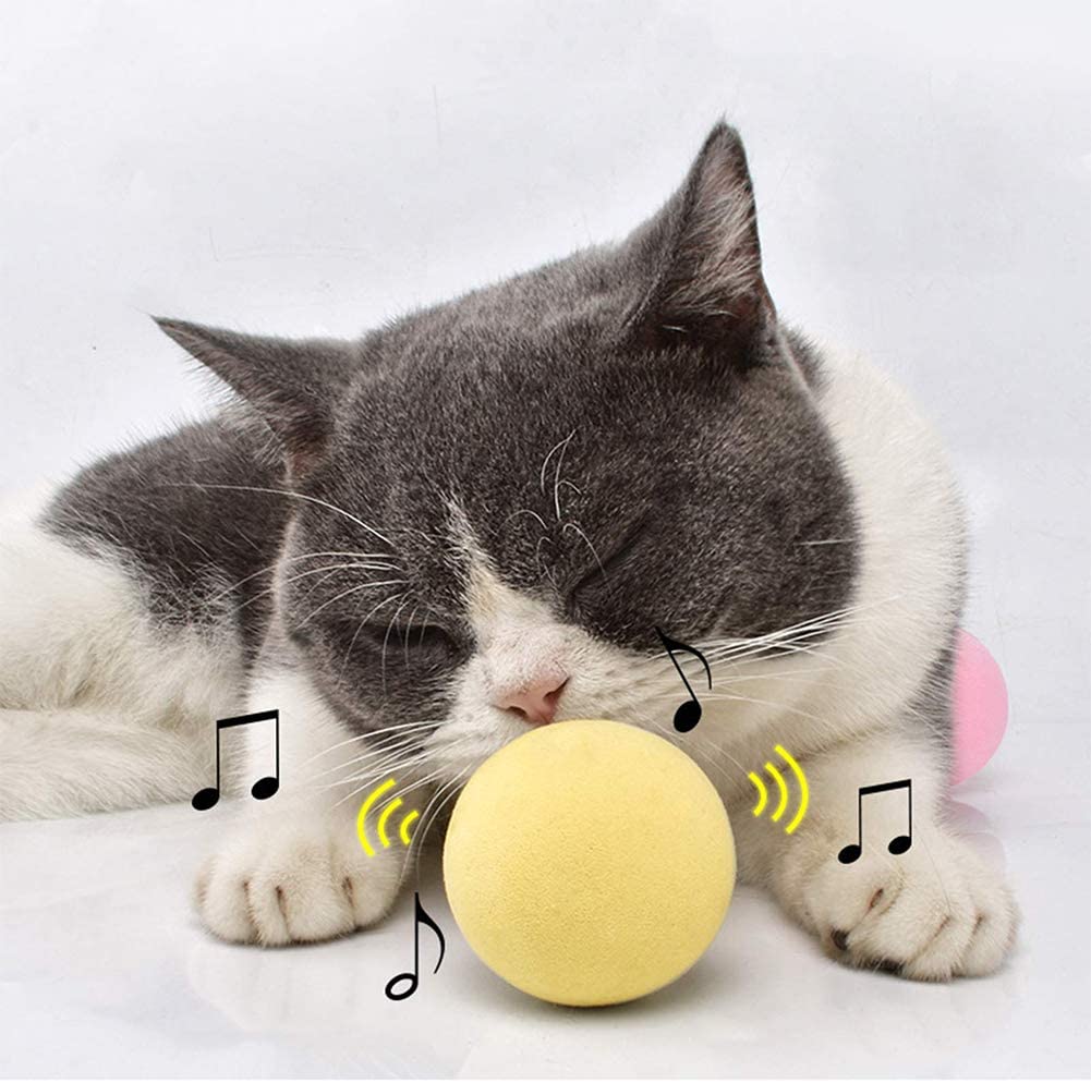 SmartBall™ - Balle intelligente d'apprentissage pour chat - Minou Mini