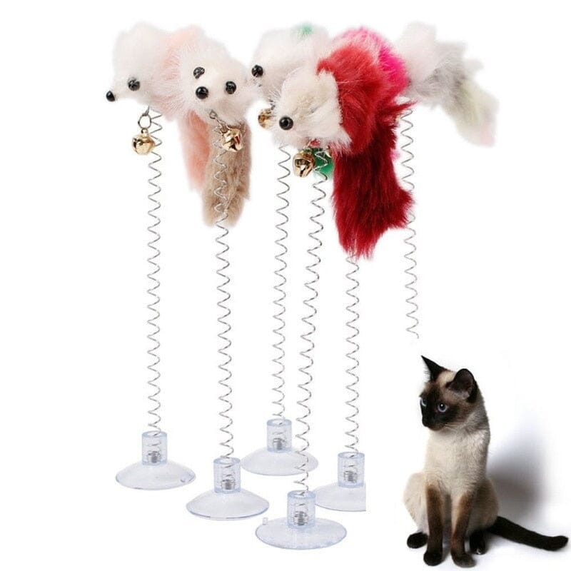 SpringFun™- Colonne Spirale pour chat – Minou Mini